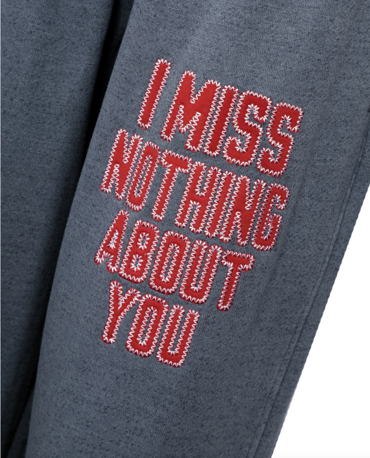 I MISS NOTHING ABOUT YOU ALEX PANT